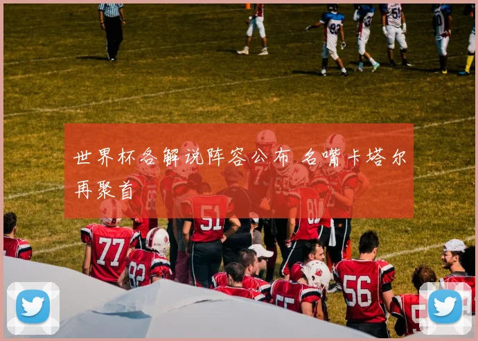世界杯各解说阵容公布 名嘴卡塔尔再聚首