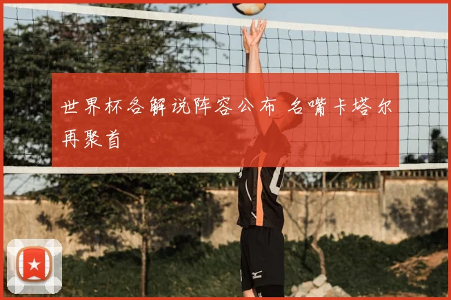 世界杯各解说阵容公布 名嘴卡塔尔再聚首