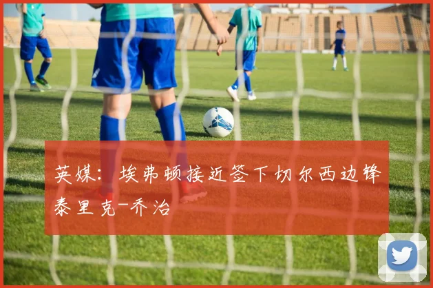 英媒：埃弗顿接近签下切尔西边锋泰里克-乔治