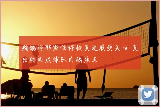 鹈鹕海耶斯伤停恢复进展受关注 复出时间成球队内线焦点
