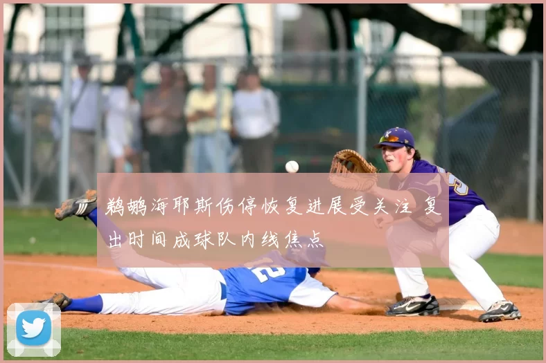 鹈鹕海耶斯伤停恢复进展受关注 复出时间成球队内线焦点